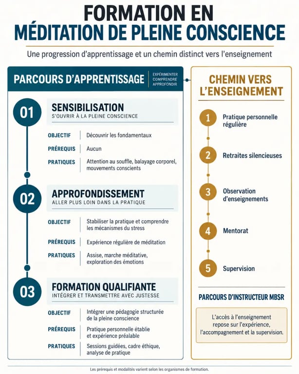 Formation en méditation pleine conscience : niveaux de pratique et parcours d'instructeur MBSR
